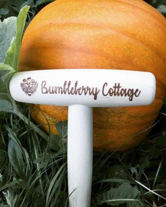 Bumbleberry Cottage Gresford Exteriör bild